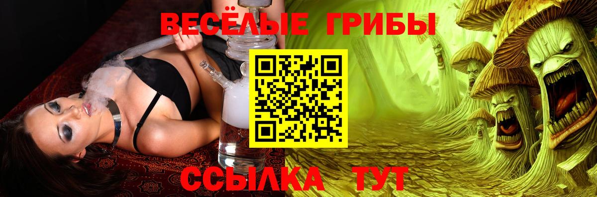 Псилоцибиновые грибы MAGIC MUSHROOMS Касимов